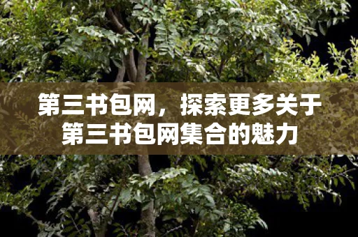 探索更多关于第三书包网集合的魅力图片