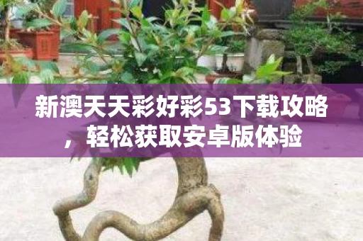 新澳天天彩好彩53下载攻略图片