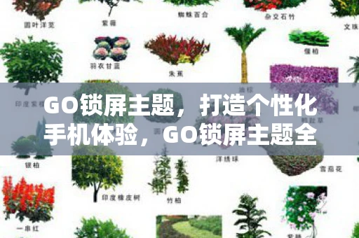 GO锁屏主题，打造个性化手机体验，GO锁屏主题全解析
