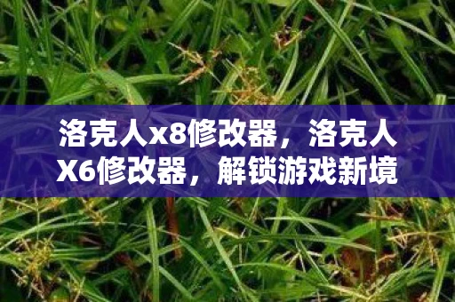 洛克人x8修改器，洛克人X6修改器，解锁游戏新境界的必备神器