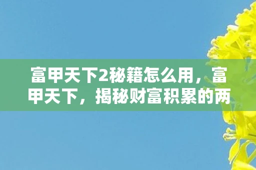富甲天下2秘籍怎么用，富甲天下，揭秘财富积累的两大秘籍