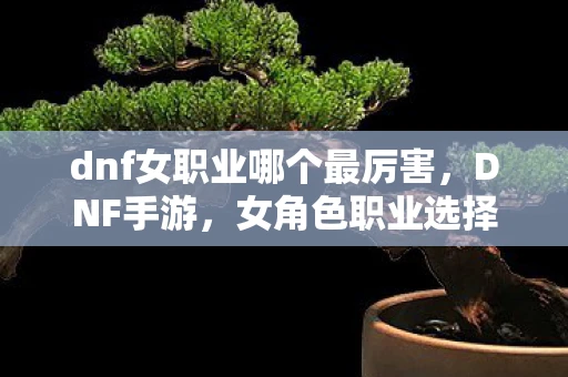 dnf女职业哪个最厉害，DNF手游，女角色职业选择指南，哪个职业最适合你？