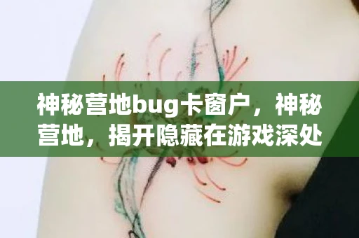 神秘营地bug卡窗户，神秘营地，揭开隐藏在游戏深处的BUG之谜