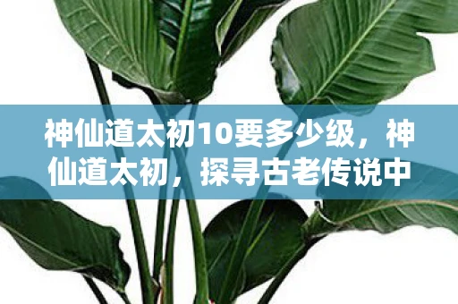 神仙道太初10要多少级，神仙道太初，探寻古老传说中的神秘境界