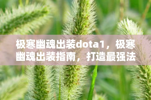 极寒幽魂出装dota1，极寒幽魂出装指南，打造最强法师的装备搭配