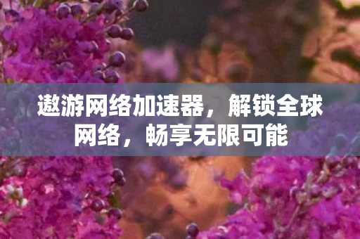 遨游网络加速器，解锁全球网络，畅享无限可能