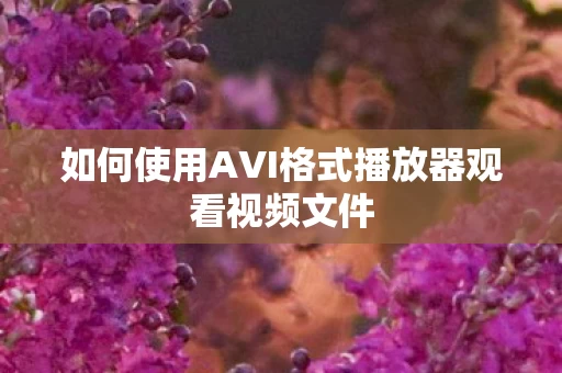 如何使用AVI格式播放器观看视频文件图片