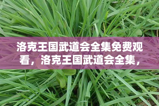 洛克王国武道会全集免费观看，洛克王国武道会全集，一场关于友情与梦想的冒险之旅