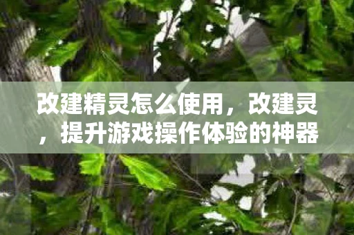 改建精灵怎么使用，改建灵，提升游戏操作体验的神器