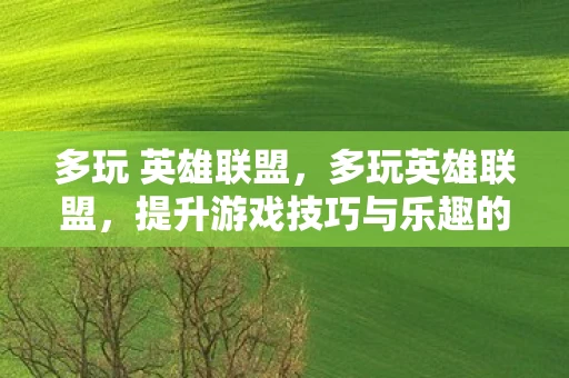 多玩 英雄联盟，多玩英雄联盟，提升游戏技巧与乐趣的全方位指南