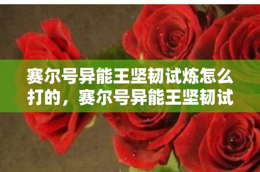 赛尔号异能王坚韧试炼怎么打的，赛尔号异能王坚韧试炼攻略，打造不败神话