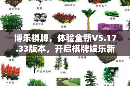 开启棋牌娱乐新篇章图片