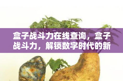 盒子战斗力在线查询，盒子战斗力，解锁数字时代的新奇玩法