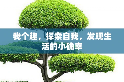 我个趣，探索自我，发现生活的小确幸
