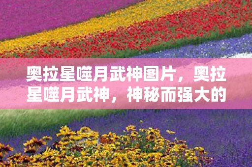 奥拉星噬月武神图片，奥拉星噬月武神，神秘而强大的存在