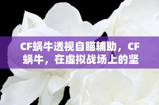 CF蜗牛透视自瞄辅助，CF 蜗牛，在虚拟战场上的坚韧与坚持