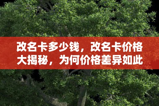 改名卡多少钱，改名卡价格大揭秘，为何价格差异如此之大？