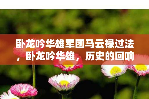 卧龙吟华雄军团马云禄过法，卧龙吟华雄，历史的回响与英雄的赞歌