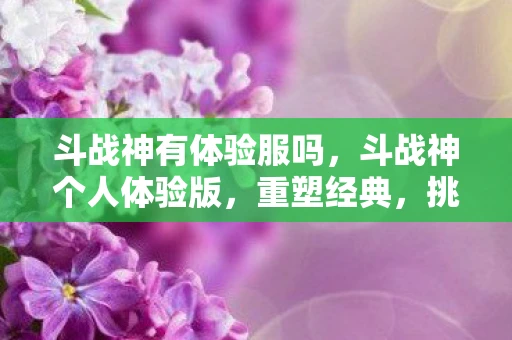 斗战神有体验服吗，斗战神个人体验版，重塑经典，挑战自我