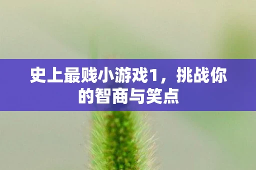 史上最贱小游戏1，挑战你的智商与笑点
