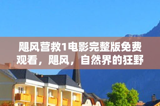 飓风营救1电影完整版免费观看，飓风，自然界的狂野舞者