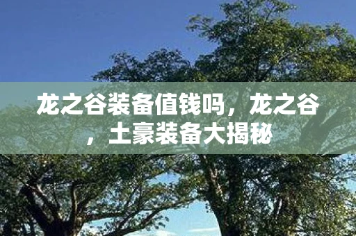 龙之谷装备值钱吗，龙之谷，土豪装备大揭秘