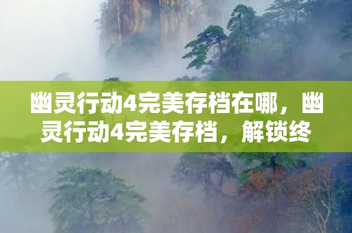幽灵行动4完美存档在哪，幽灵行动4完美存档，解锁终极游戏体验