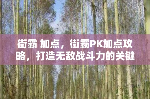 街霸 加点，街霸PK加点攻略，打造无敌战斗力的关键