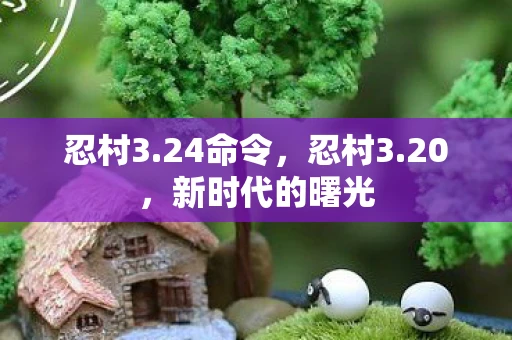 忍村3.24命令,忍村3.20,新时代的曙光 忍村3.24命令,忍村3.20,新时代的曙光