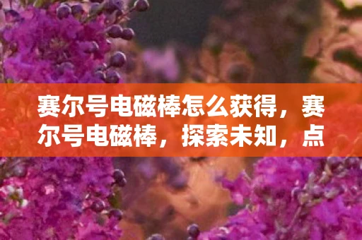 赛尔号电磁棒怎么获得，赛尔号电磁棒，探索未知，点亮未来