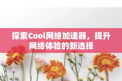 探索Cool网络加速器，提升网络体验的新选择