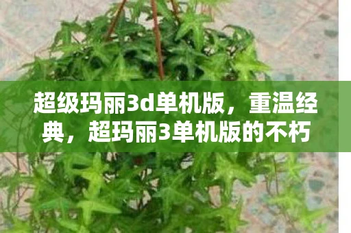 超级玛丽3d单机版，重温经典，超玛丽3单机版的不朽传奇