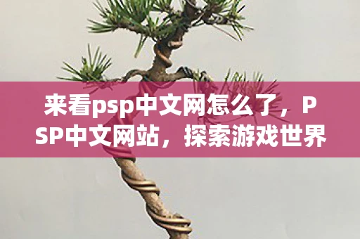 来看psp中文网怎么了，PSP中文网站，探索游戏世界的无限可能