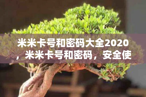 米米卡号和密码大全2020，米米卡号和密码，安全使用与保护