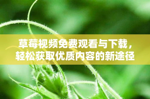 轻松获取优质内容的新途径图片