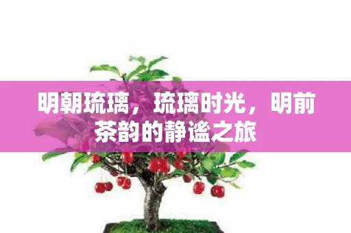 明朝琉璃，琉璃时光，明前茶韵的静谧之旅