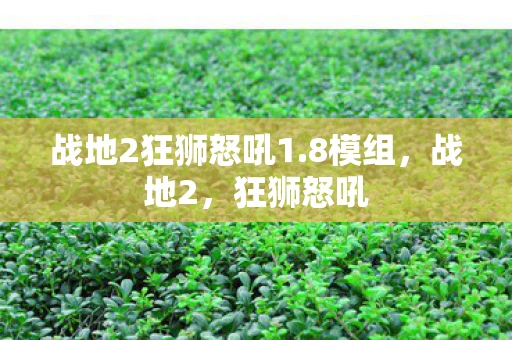 战地2狂狮怒吼1.8模组，战地2，狂狮怒吼