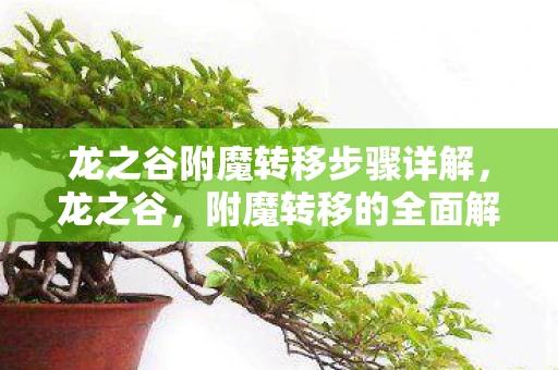 龙之谷附魔转移步骤详解，龙之谷，附魔转移的全面解析