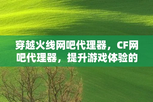 穿越火线网吧代理器，CF网吧代理器，提升游戏体验的必备神器