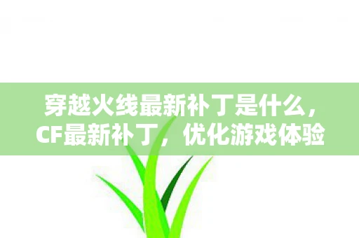 穿越火线最新补丁是什么，CF最新补丁，优化游戏体验，修复多项问题