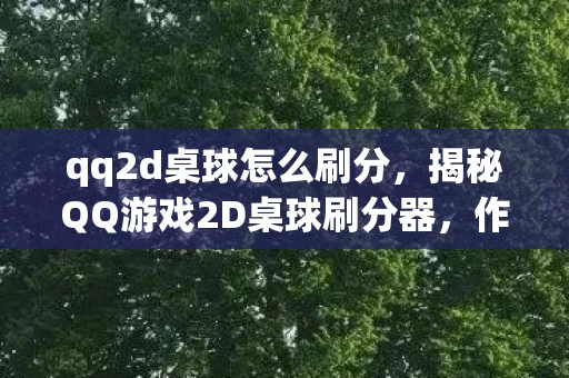 qq2d桌球怎么刷分，揭秘QQ游戏2D桌球刷分器，作弊背后的灰色地带