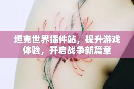 坦克世界插件站图片