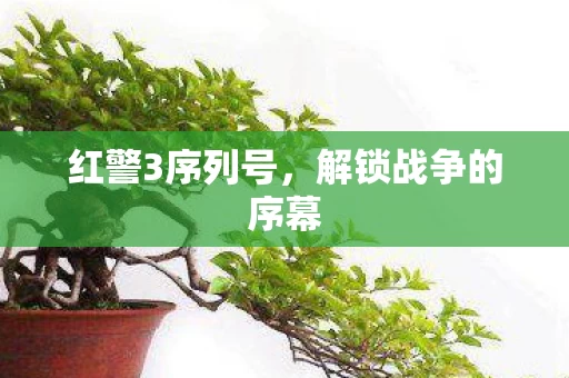 解锁战争的序幕图片