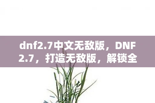 dnf2.7中文无敌版，DNF2.7，打造无敌版，解锁全新冒险！