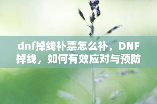 dnf掉线补票怎么补，DNF掉线，如何有效应对与预防？