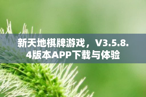 4版本APP下载与体验图片