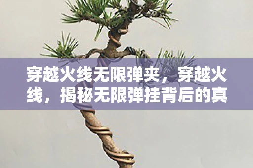 穿越火线无限弹夹，穿越火线，揭秘无限弹挂背后的真相