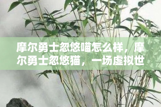 摩尔勇士忽悠喵怎么样，摩尔勇士忽悠猫，一场虚拟世界的奇妙冒险