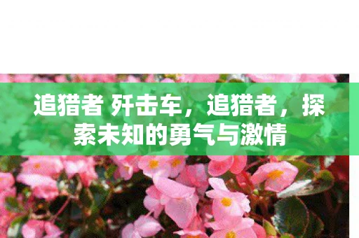 追猎者 歼击车，追猎者，探索未知的勇气与激情