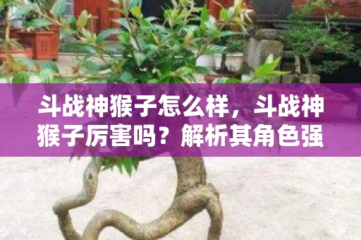 斗战神猴子怎么样，斗战神猴子厉害吗？解析其角色强度与玩法